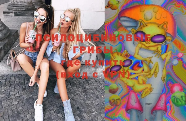 ГАЛЛЮЦИНОГЕННЫЕ ГРИБЫ Абаза