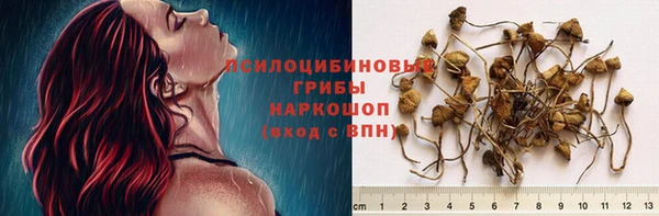 спайс Алексин