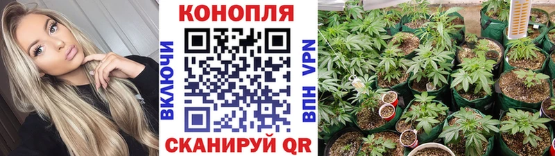 купить   Тында  Бошки Шишки THC 21% 